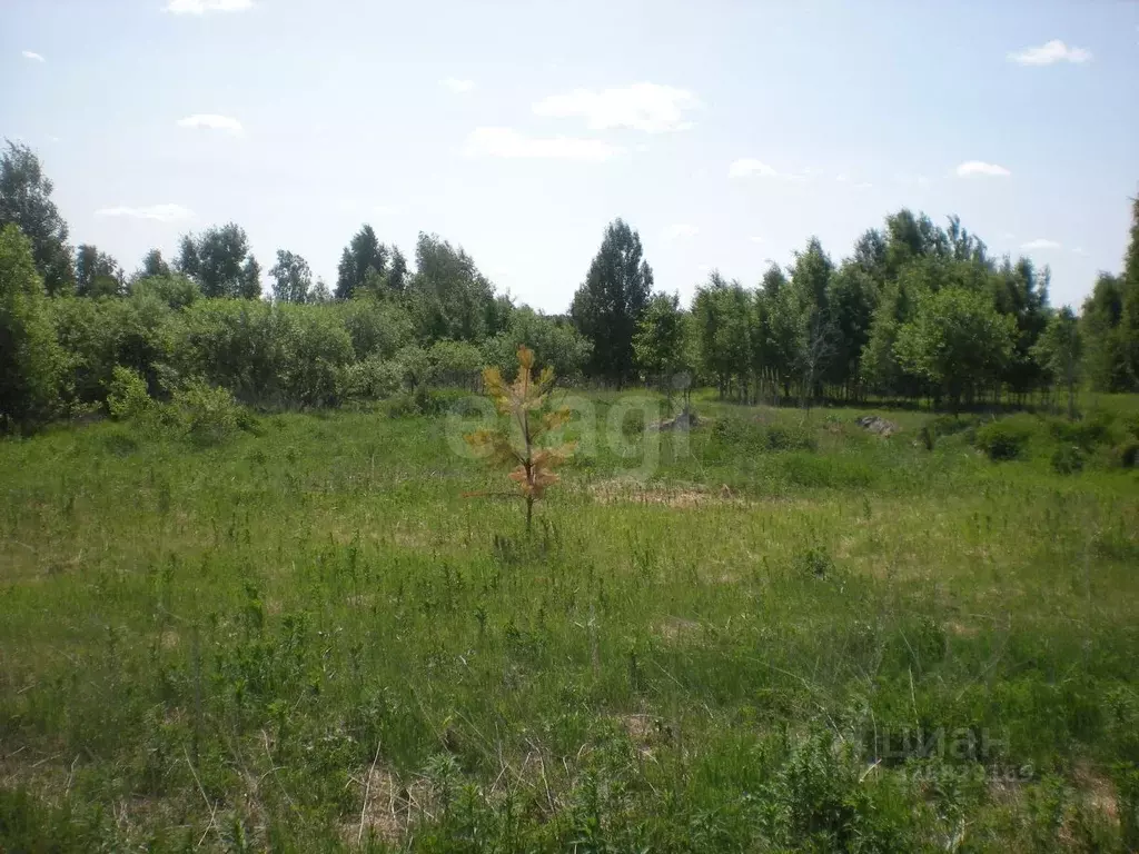Участок в Тюменская область, Нижнетавдинский муниципальный округ, ... - Фото 1