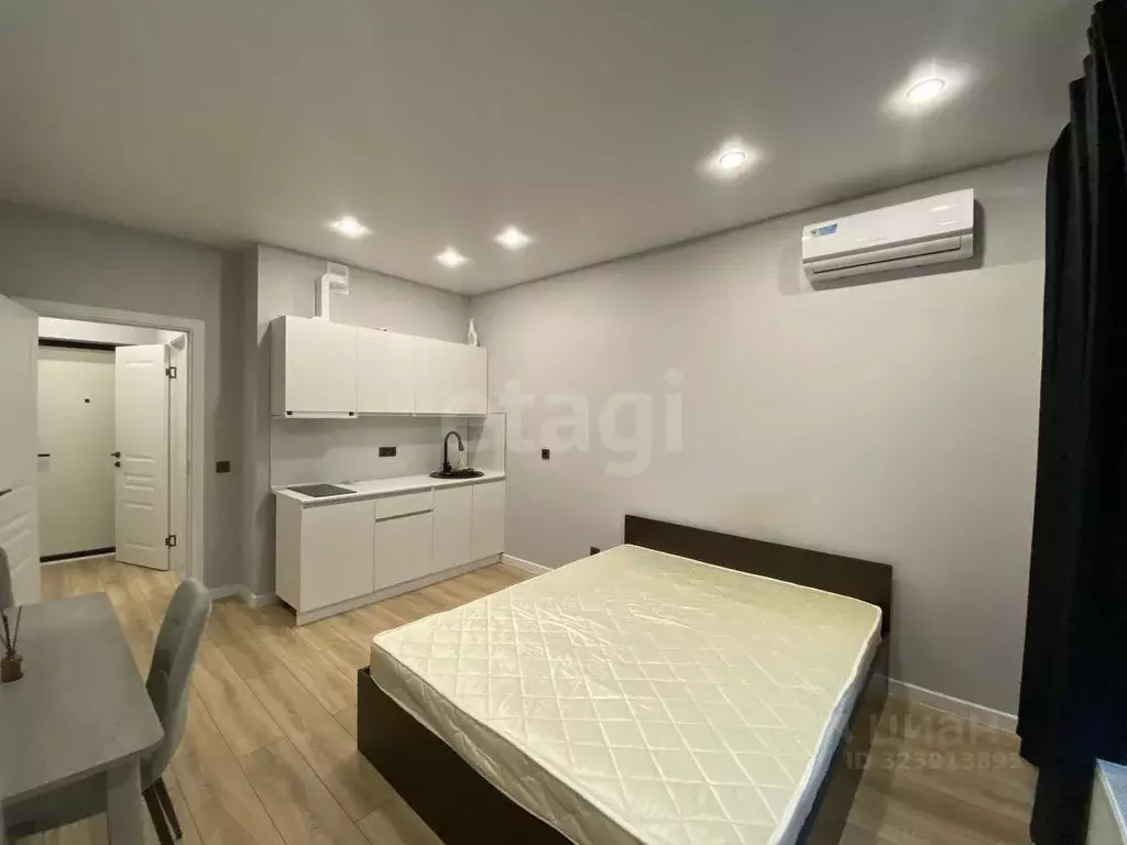 Студия Краснодарский край, Краснодар ул. Ивана Беличенко, 92к2 (22.6 ... - Фото 1