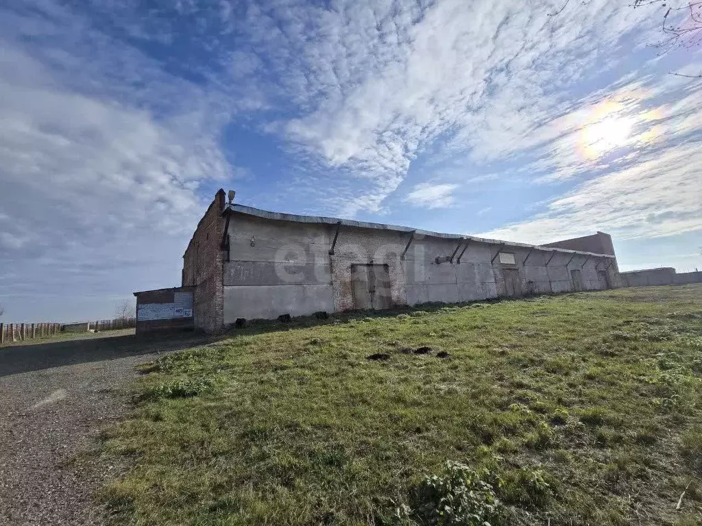 Склад в Курская область, Октябрьский район, Лобазовский сельсовет, с. ... - Фото 1