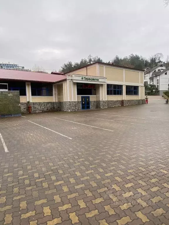 Помещение свободного назначения в Краснодарский край, Сочи Центральный ... - Фото 1