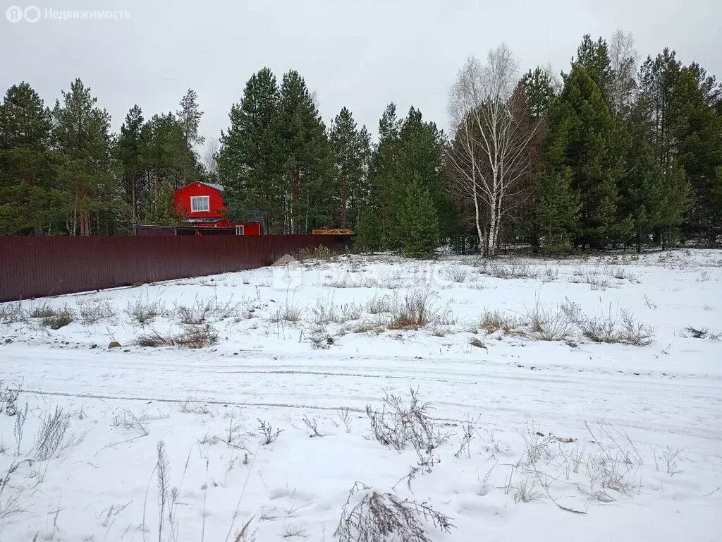 Участок в Владимирская область, муниципальное образование Петушинское, ... - Фото 0