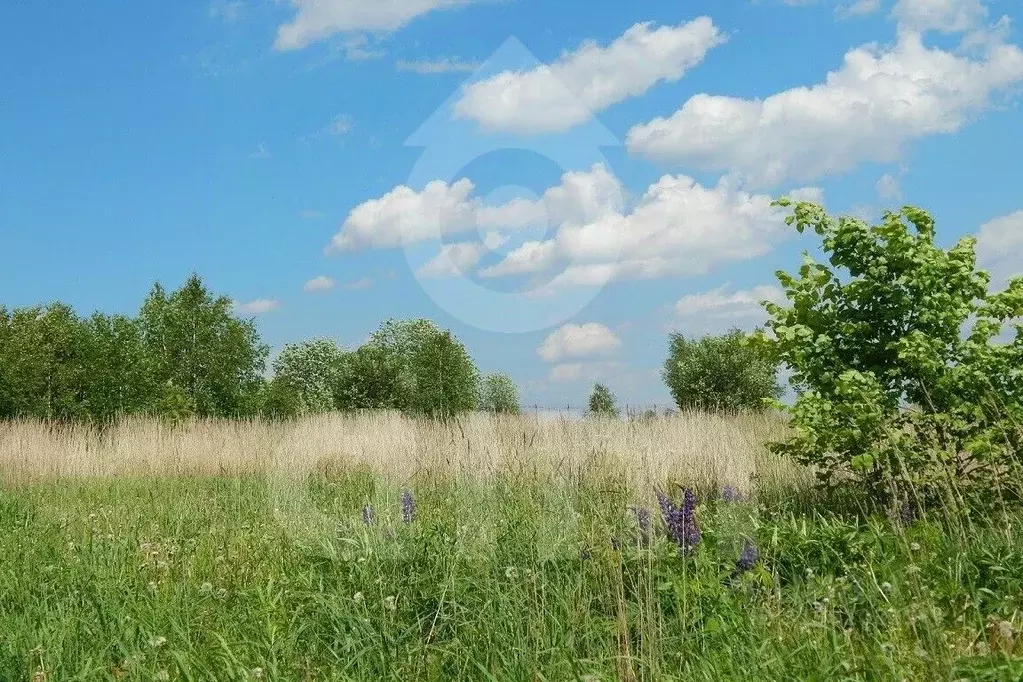 Участок в Московская область, Одинцовский городской округ, Мэдисон ... - Фото 0