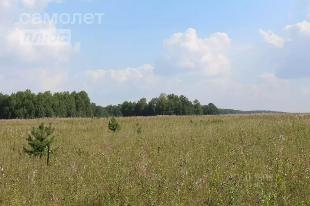 Участок в Московская область, Луховицы городской округ, пос. Совхоза ... - Фото 0