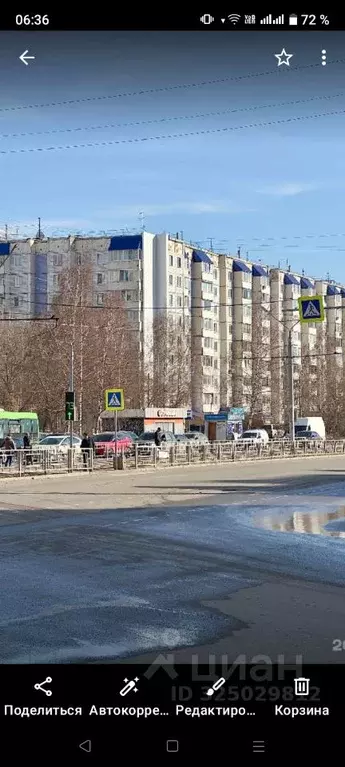 1-к кв. Алтайский край, Барнаул ул. Попова, 63 (35.0 м) - Фото 1