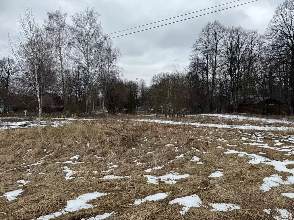 Участок в Московская область, Чехов муниципальный округ, д. Хлевино ... - Фото 2