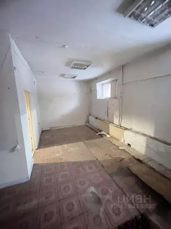 Помещение свободного назначения в Коми, Сыктывкар ул. Ленина, 89 (41 ... - Фото 1