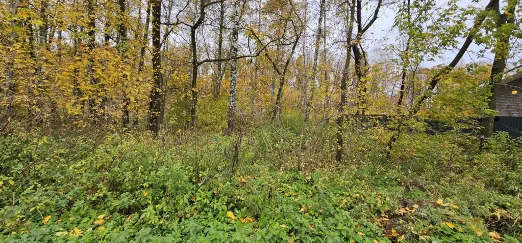 Участок в Московская область, Луховицы  (10.0 сот.) - Фото 2