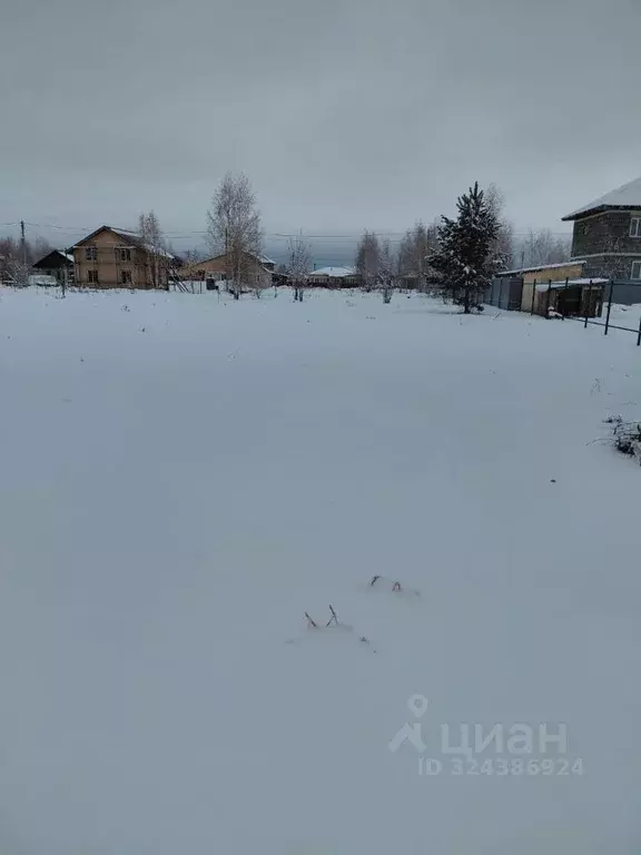 Участок в Новосибирская область, Новосибирский район, с. Верх-Тула ул. ... - Фото 1
