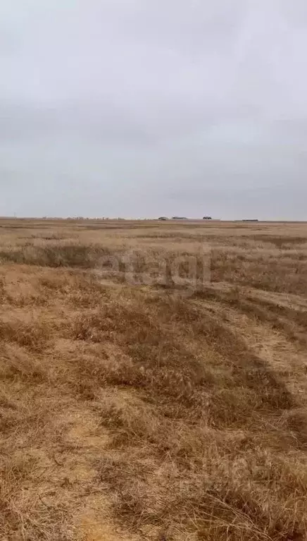 Участок в Крым, Сакский район, Молочненское с/пос, с. Витино  (6.0 ... - Фото 1