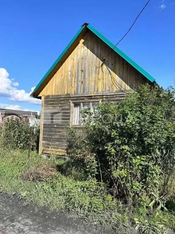 Дом в Новосибирская область, Новосибирский район, Толмачевский ... - Фото 0