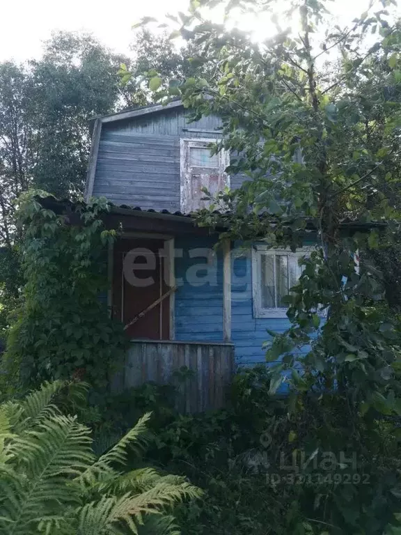 Участок в Ярославская область, Ярославль Текстильщик-2 садовое ... - Фото 1