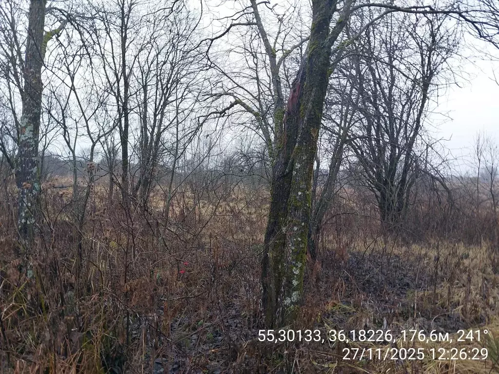 Участок в Московская область, Наро-Фоминский городской округ, д. ... - Фото 1