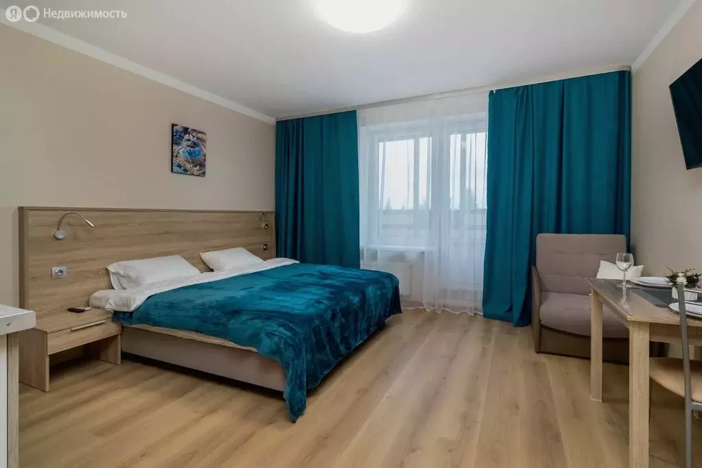 Квартира-студия: посёлок Песочный, Садовая улица, 81 (25.7 м) - Фото 0