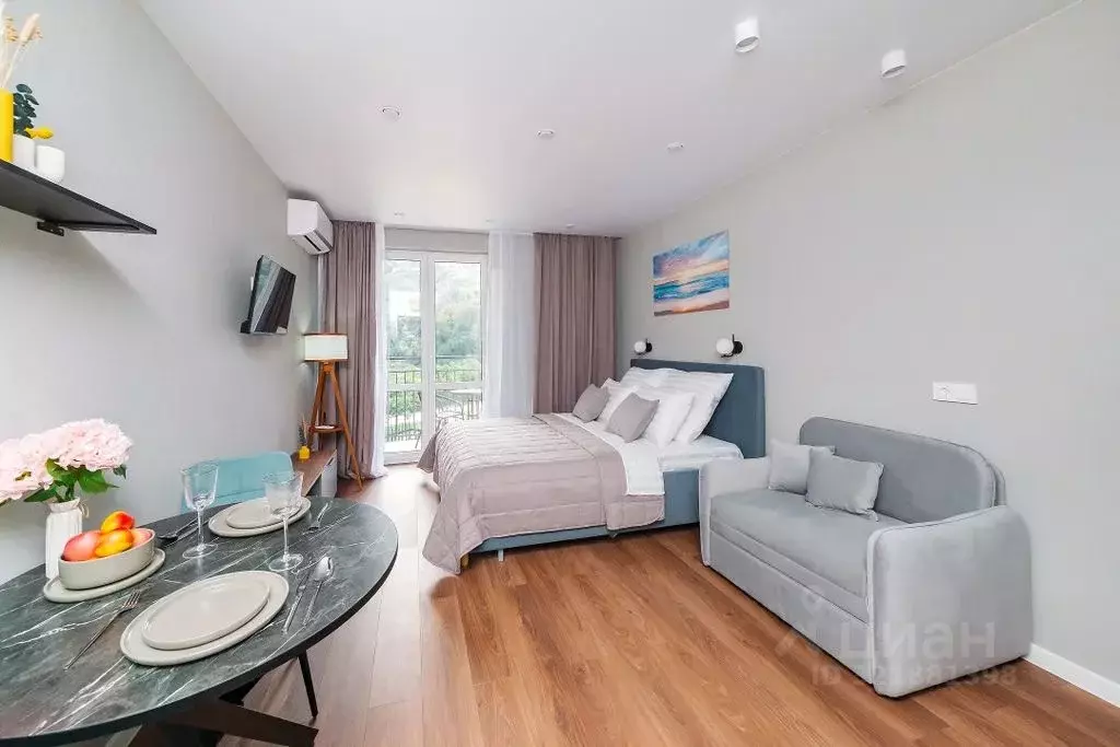 Студия Краснодарский край, Сочи ул. Искры, 88к8 (28.0 м) - Фото 2