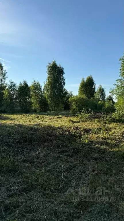 Участок в Ярославская область, Мышкинский муниципальный округ, д. ... - Фото 1