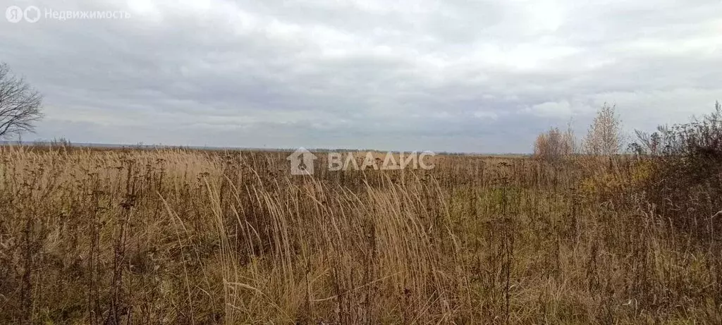 Участок в Медведевский район, Пекшиксолинское сельское поселение, ... - Фото 2