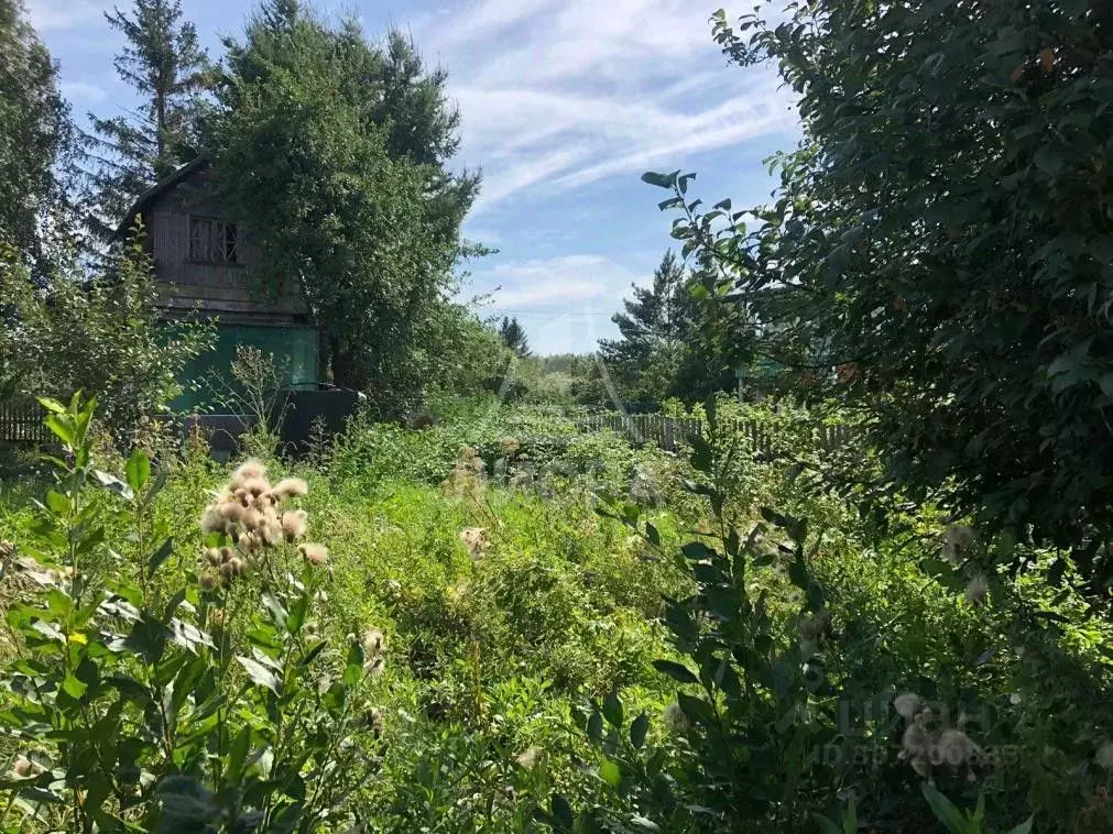 Дом в Омская область, Любинский район, СНТ Сибзаводовец-3 ТСН  (12 м) - Фото 0