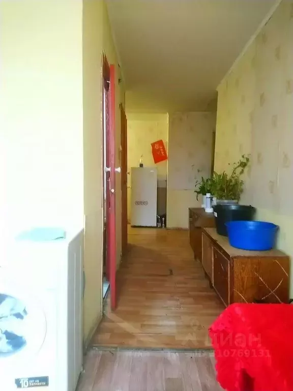 Комната Ленинградская область, Ломоносовский район, Аннинское ... - Фото 0
