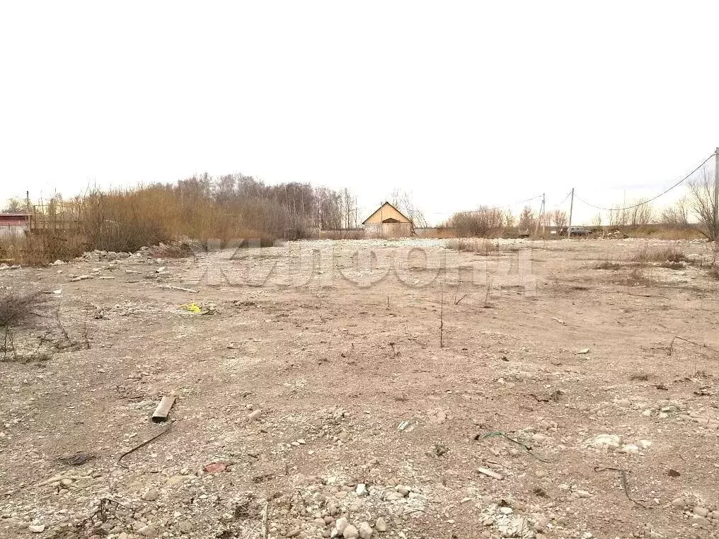 Участок в Криводановский сельсовет, СНТ Ёлочка-2 (6 м) - Фото 2