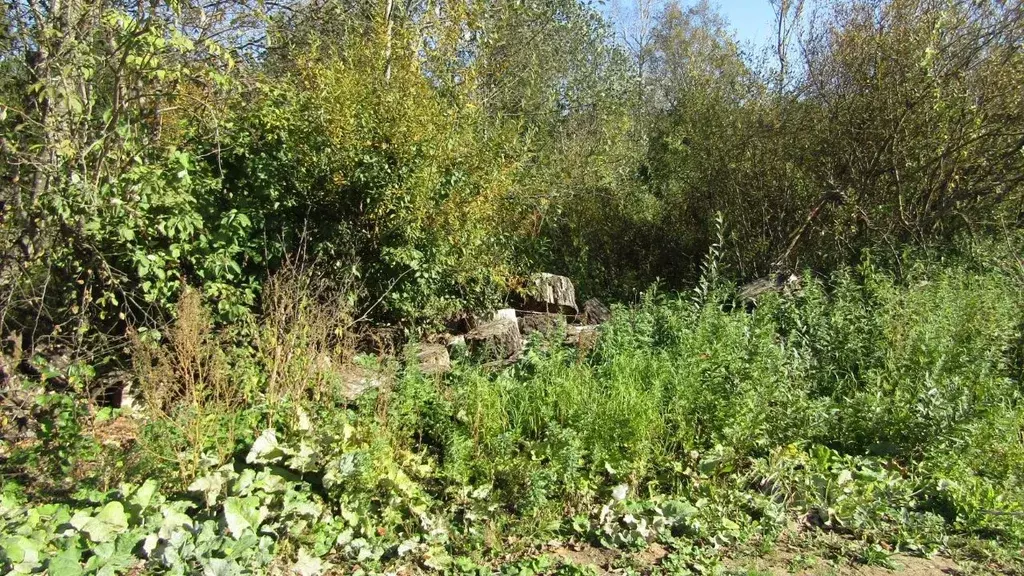 Участок в Московская область, Рузский муниципальный округ, д. Паново ... - Фото 2