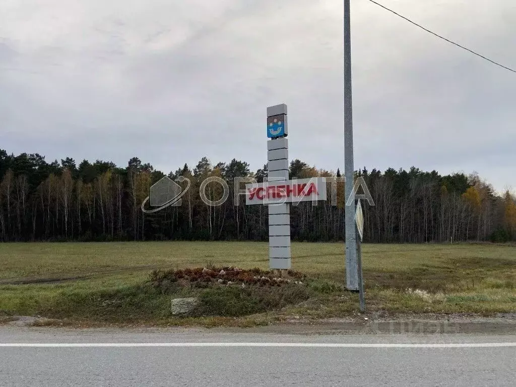 Участок в Тюменская область, Тюменский муниципальный округ, с. Успенка ... - Фото 2