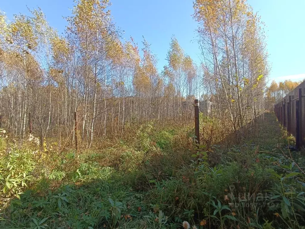 Участок в Свердловская область, Белоярский городской округ, пос. ... - Фото 1