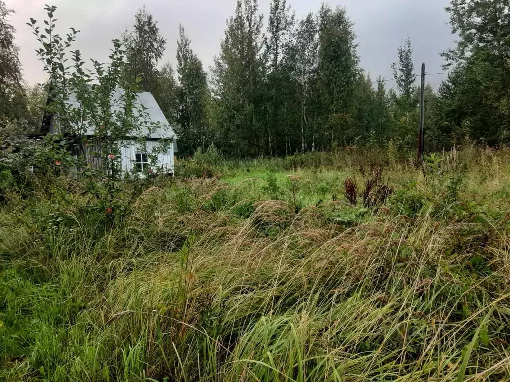 Участок в Вологодская область, Череповецкий район, Северсталь № 7 СНТ ... - Фото 1