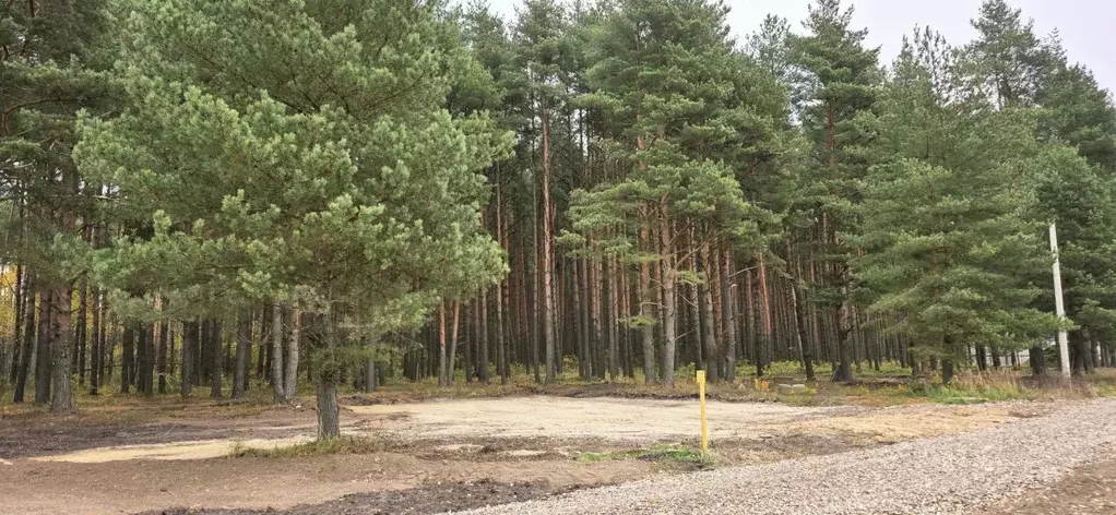 Участок в Тверская область, Конаково ул. Революции (10.6 сот.) - Фото 2