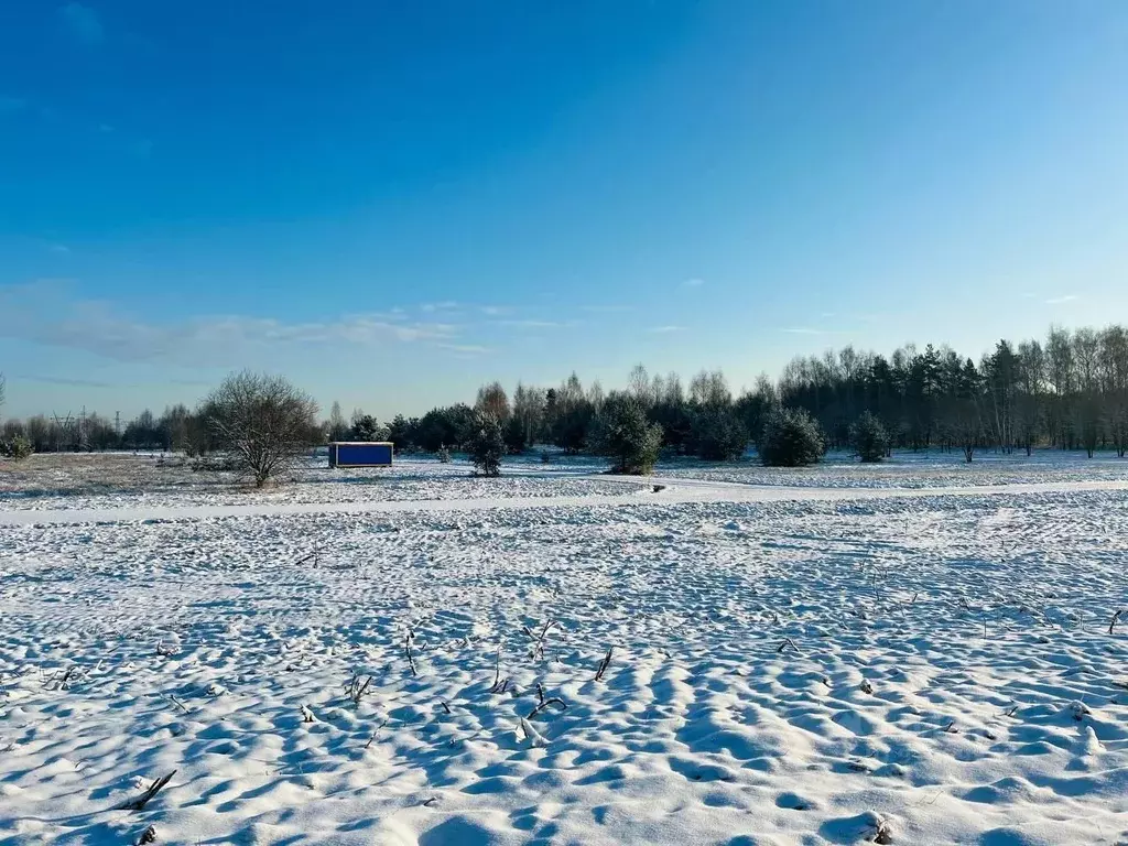 Участок в Московская область, Дмитровский городской округ, д. Сальково ... - Фото 1