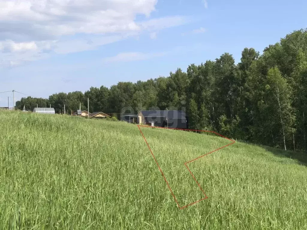 Участок в Новосибирская область, Новосибирский район, Морской ... - Фото 2