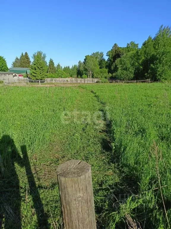 Участок в Вологодская область, д. Порошино  (12.21 сот.) - Фото 1