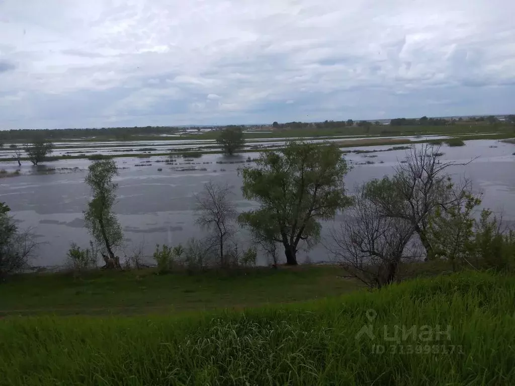 Участок в Саратовская область, Энгельсский район, Красноярское ... - Фото 1