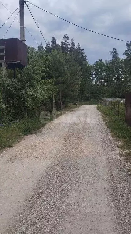 Участок в Воронежская область, Рамонский район, Новоживотинновское ... - Фото 1