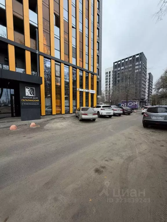 1-к кв. Воронежская область, Воронеж ул. Летчика Колесниченко, 65А ... - Фото 2