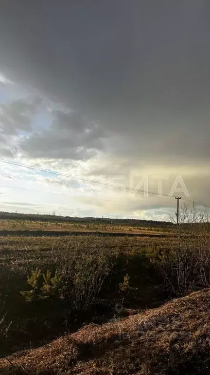 Участок в Тюменская область, Тюменский муниципальный округ, с. Кулига, ... - Фото 2