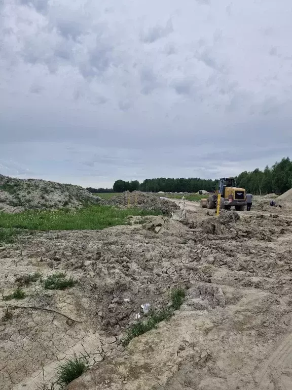 Участок в Санкт-Петербург, Санкт-Петербург, Павловск Березовая ул. ... - Фото 0