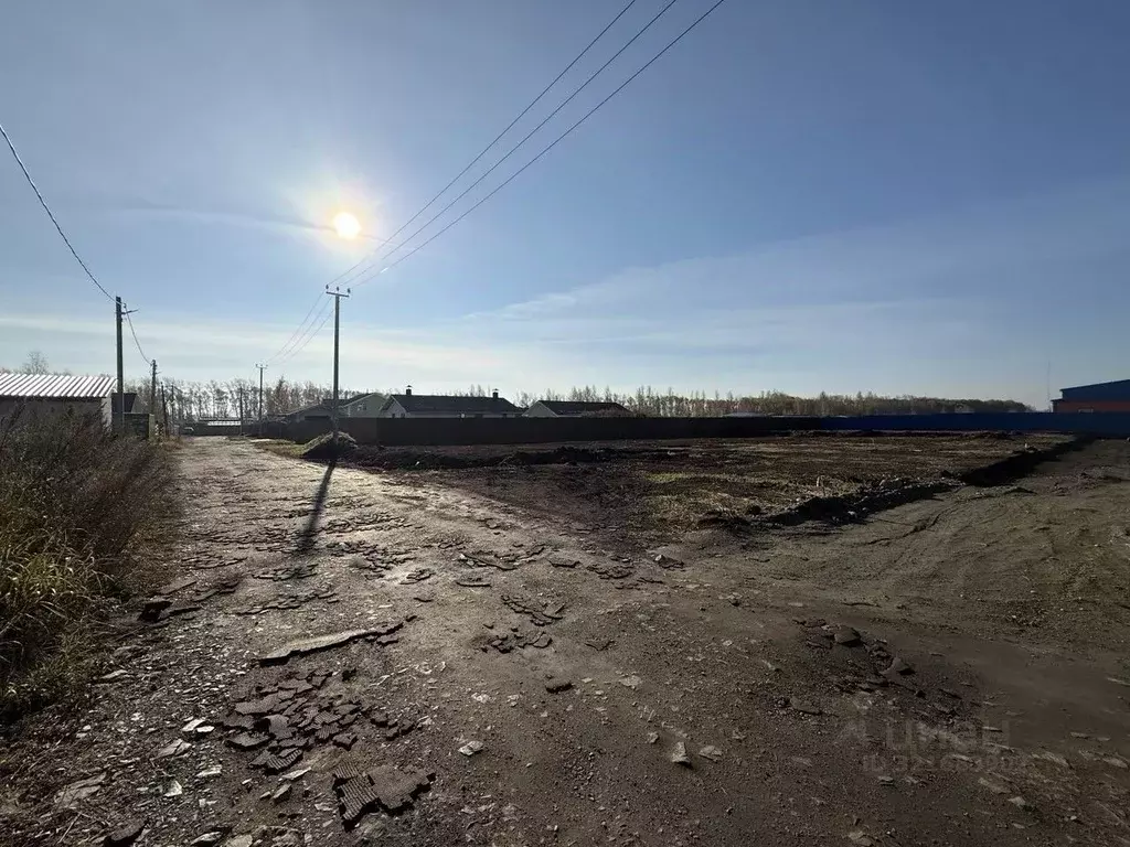 Участок в Челябинская область, Челябинский городской округ, пос. ... - Фото 2