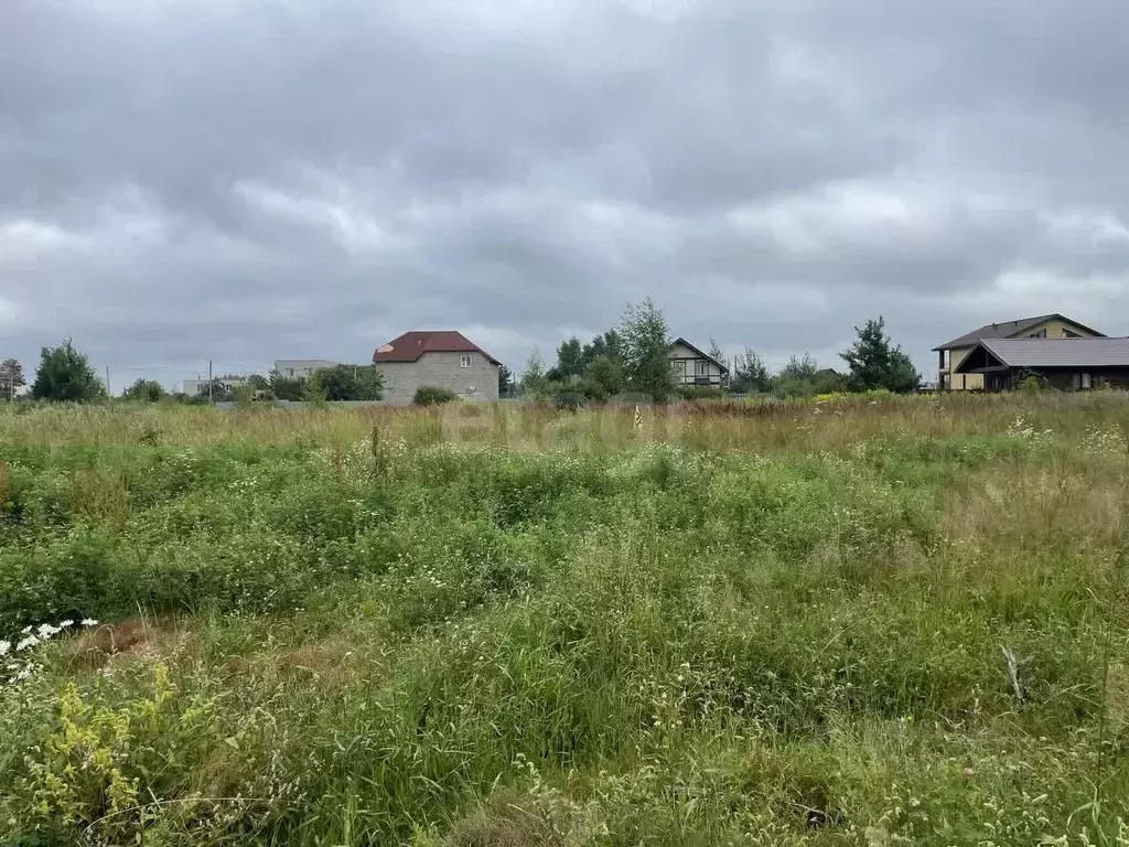 Участок в Ярославская область, Ярославский муниципальный округ, д. ... - Фото 1