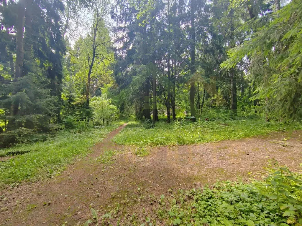 Продается участок в г. Лобня - Фото 1