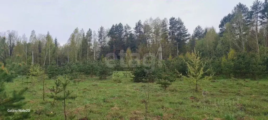 Участок в Брянская область, Брянский район, с. Домашово  (15.0 сот.) - Фото 1