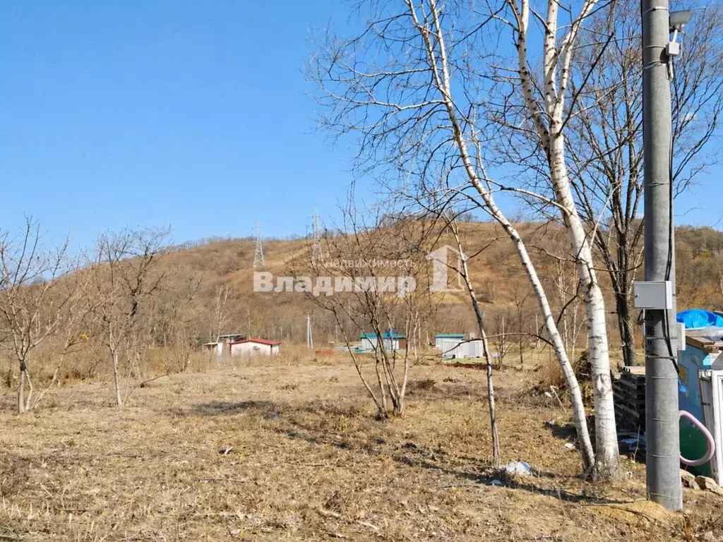 Участок в Приморский край, Находка Зеленый сад СНТ, ул. Озерная (11.0 ... - Фото 2