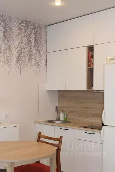 Студия Санкт-Петербург Черниговская ул., 11к1 (22.9 м) - Фото 2