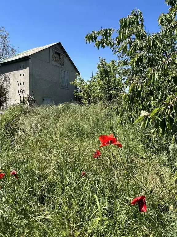 Дом 51,9 м на участке 12 сот. - Фото 1
