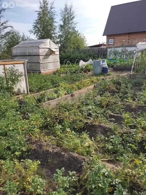 Участок в Республика Саха (Якутия), городской округ Жатай, рабочий ... - Фото 2