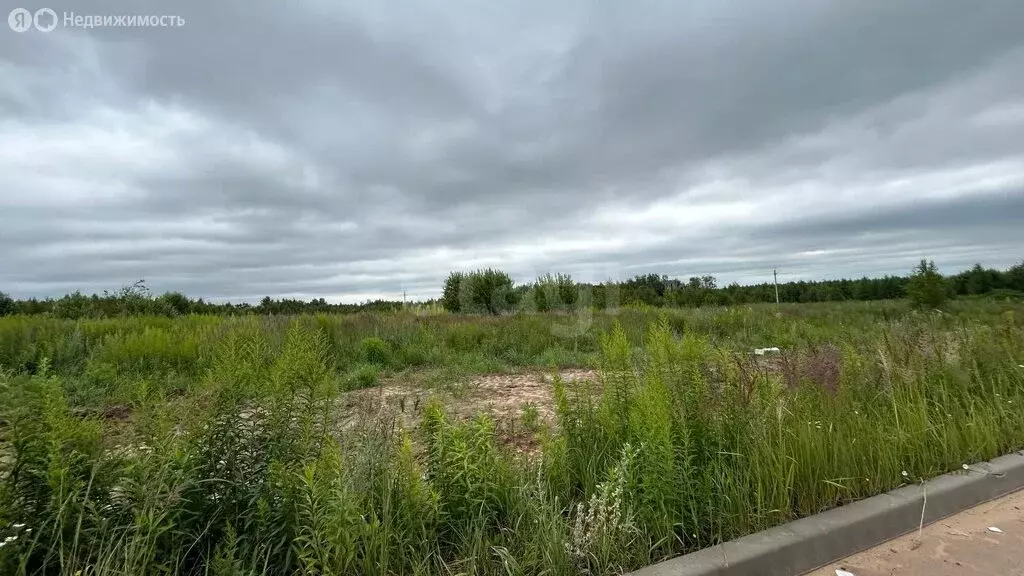 Участок в городской округ Нижний Новгород, деревня Студенец (5 м) - Фото 1
