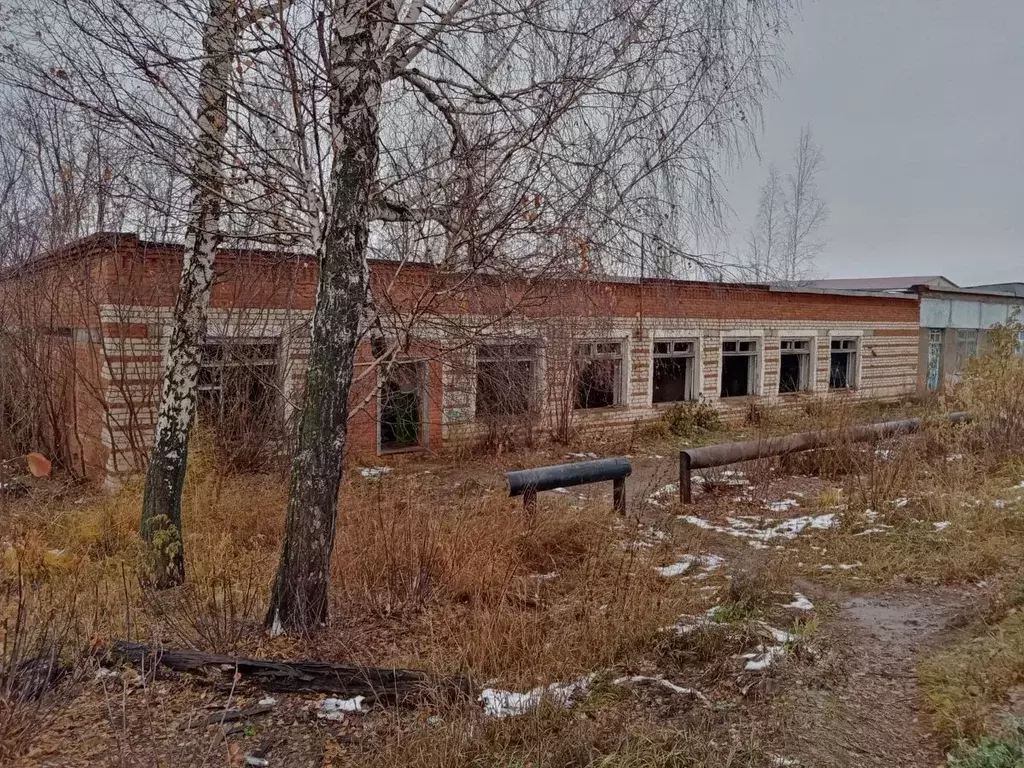 Помещение свободного назначения в Татарстан, Агрызский район, ... - Фото 1