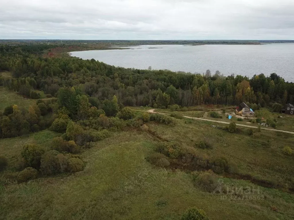 Участок в Новгородская область, Боровичский район, Железковское с/пос, ... - Фото 1