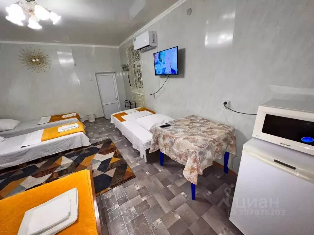 Комната Краснодарский край, Темрюкский район, Голубицкое с/пос, ... - Фото 2