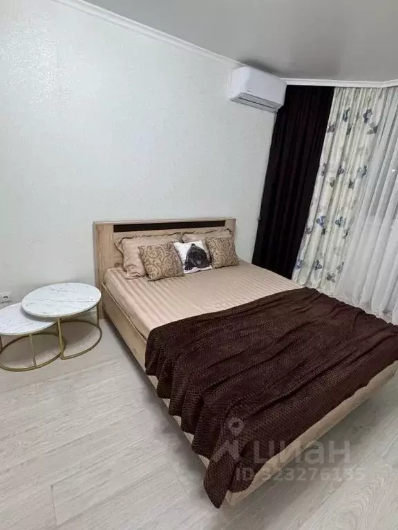 1-к кв. Оренбургская область, Оренбург Салмышская ул., 65 (41.0 м) - Фото 1