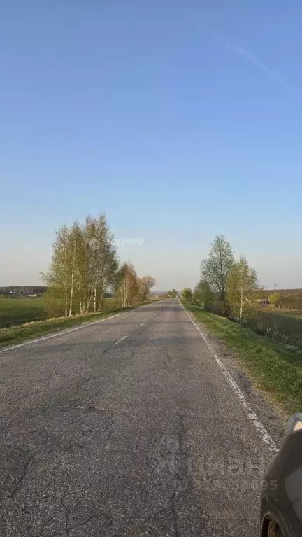 Участок в Чувашия, Моргаушский муниципальный округ, Ильинское с/пос  ... - Фото 2